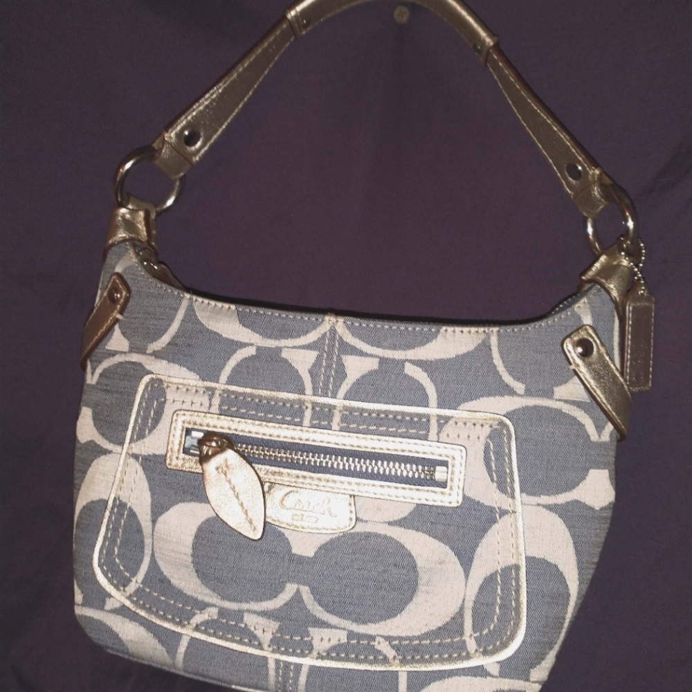 Coach Blue and Silver Purse-Small